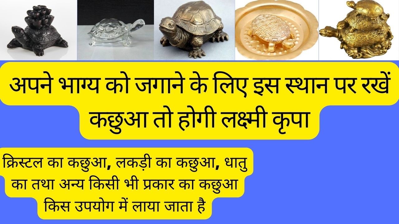 Where to keep Crystal tortoise? 1 क्रिस्टल कछुआ कहां रखें?.क्रिस्टल का कछुआ, लकड़ी का कछुआ, धातु का कछुआ, का प्रकार