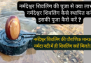 Narmadeshwar shivling, नर्मदेश्वर शिवलिंग